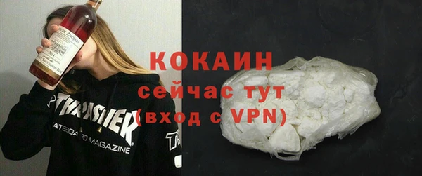 хмурый Алзамай