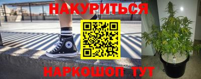 тгк Гусев