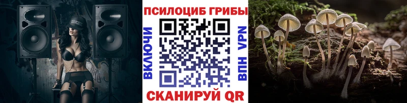 купить цена Старая Купавна kraken сайт Псилоцибиновые грибы Psilocybine cubensis