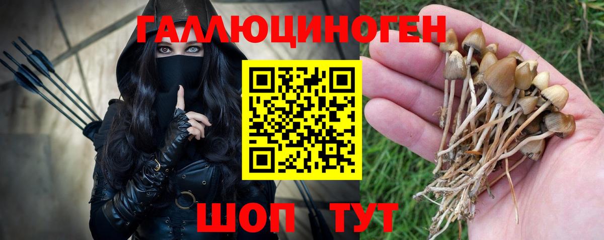 Старая Купавна  Галлюциногенные грибы Cubensis  Вход с VPN 